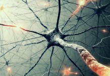 5 passos para aprender qualquer habilidade mais rápido